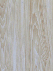 生態板(羅馬楓木) 生態板(羅馬楓木)